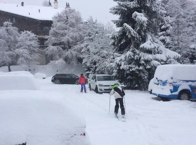 Grain D'or - 007 Daire Verbier